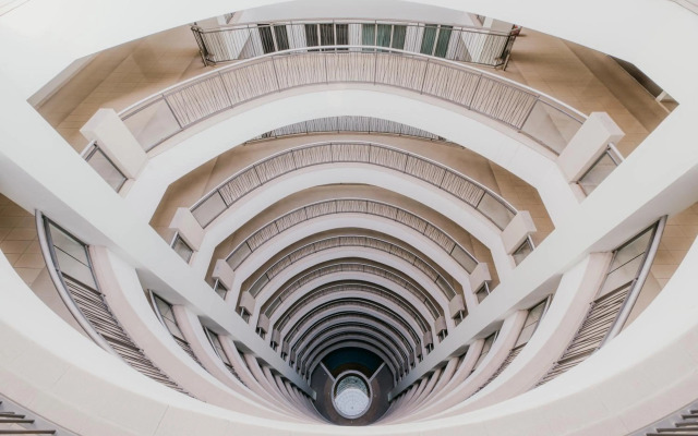 Rex Ollie @ 231 TR Suite