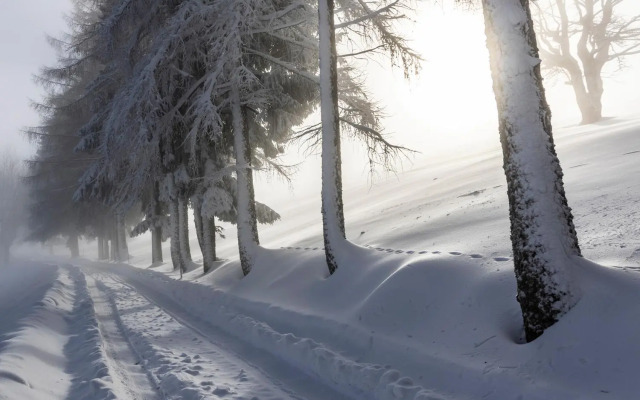 Das Haus am Berg: Nestelberg17