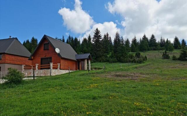 Holiday home Mountain