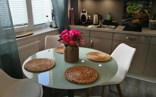 Ferienwohnung Südterrasse mit Kamin Bj 2019