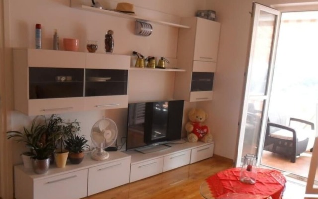 Apartment Amila with beautiful sea view