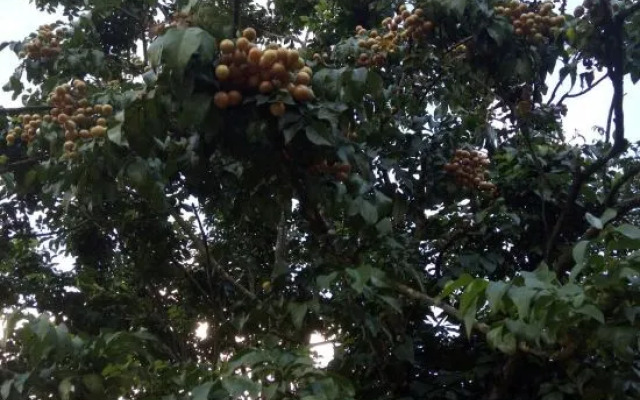 Dream Home Inn Yangshuo