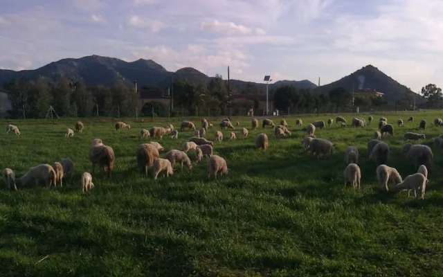 Agriturismo Il Nuraghe