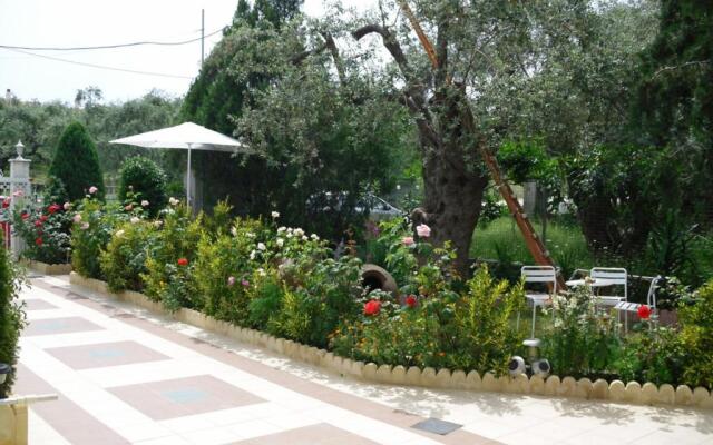 Ioli Apartments