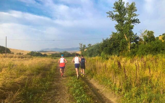 Diacceroni B&B Organic Farmhouse