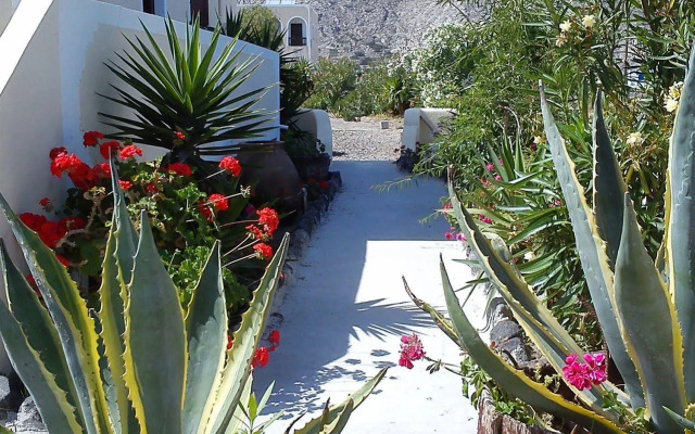 Marina's studios