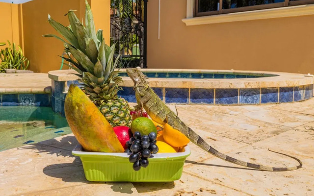 Gold Coast 4br4 5BA Villa w Privatepool Gym
