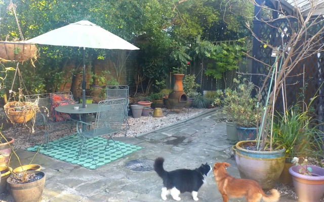 Jesmond Vegan B&B