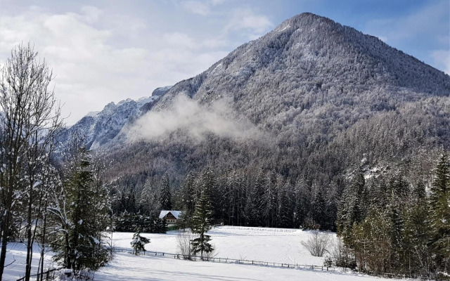 Mountain peaks Apartment with Sauna