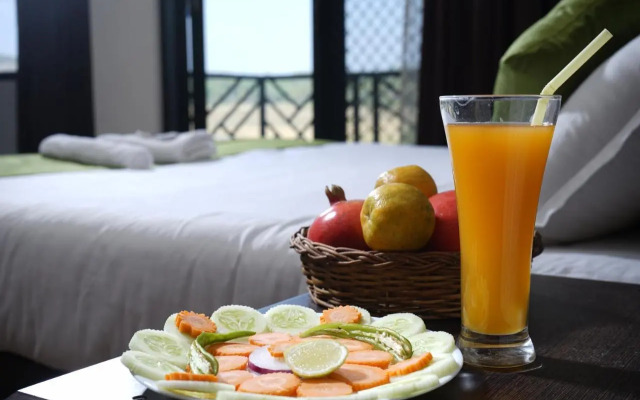 The Paddy Field Inn - Hostel