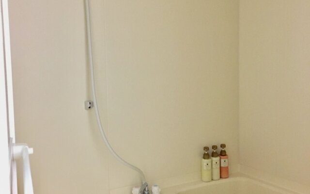 Hotel Wadano No Mori In Hakuba