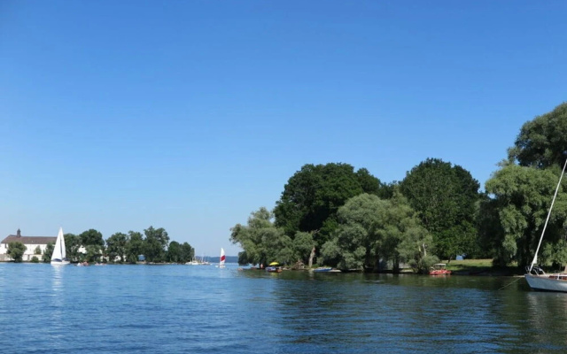 Dennenboomdroom