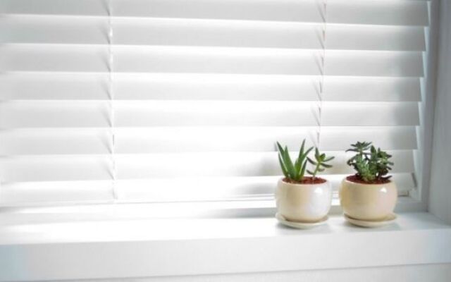 The Zip Guest House For Female Only (только для женщин)