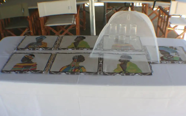 Distinctly Africa - Manyeleti