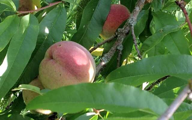 Chambre Privative Et Originale, a 20 Mn de Cluny