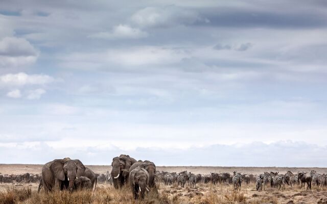 Basecamp Masai Mara