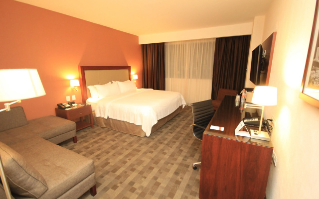 Holiday Inn Leon Plaza Mayor by IHG