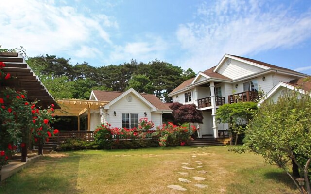 Taean Sky Island Penison