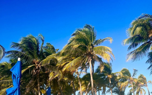 Elegant 1BR ALDEA ZAMA Tulum