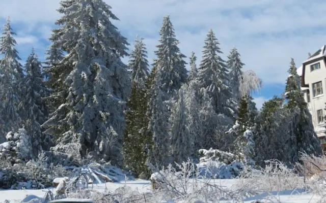 Ferienhaus Bonhoeffer