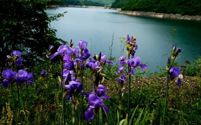 Guest House Etno Village Milogora