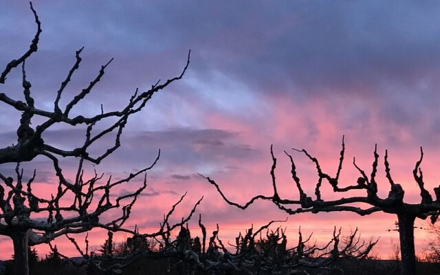 Le Mas des Hirondelles