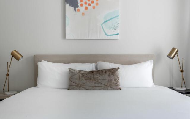 Dallas Modern 1BD 1BA Apartment