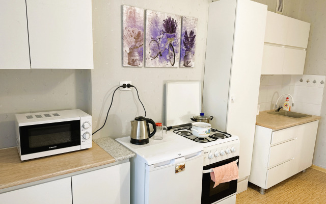 Baltic Resort Apartments on Moskovskaya 66