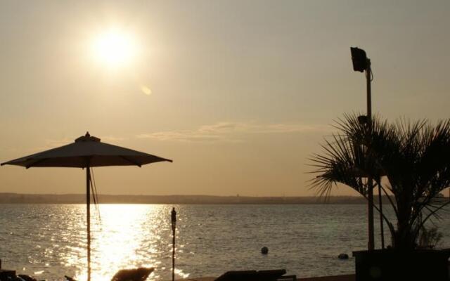 Hotel California Club by Chevalet