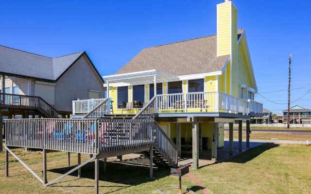 4513bpelicansinh - Barefoot Pelican