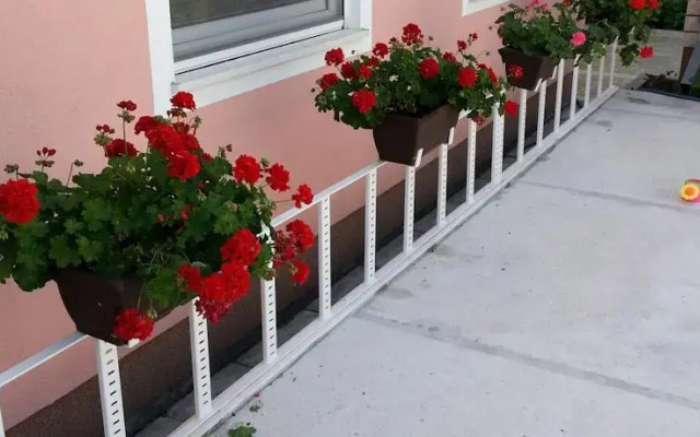 Apartment Petro