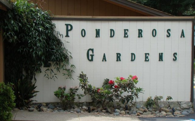 Ponderosa Gardens Motel
