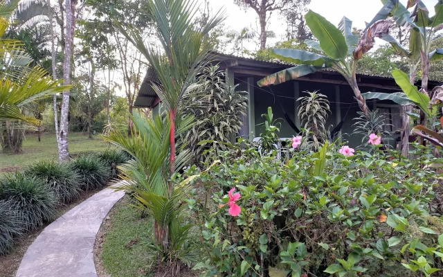 Rio Celeste Nature View