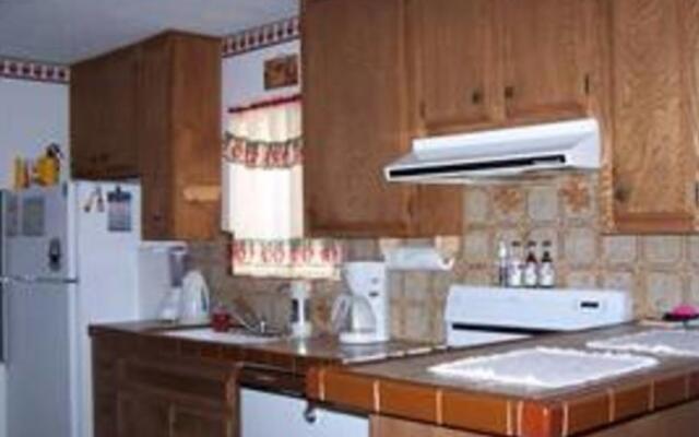 RedAwning Atilla and His Huns