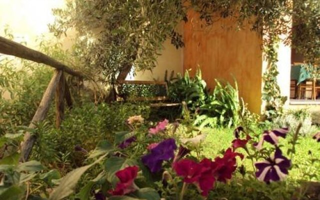 Dimora Degli Ulivi Bed and Breakfast