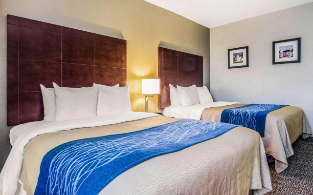 Comfort Inn Atlanta Downtown South
