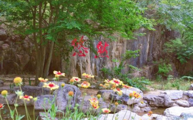 Qingqing Villa (Beijing Qidu Store)