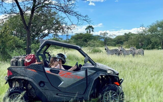 Elephant Lodge