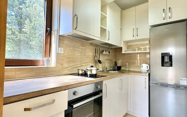 Central apartments Surina