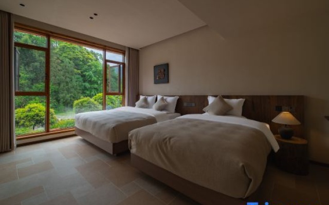 Tree Summer 13 · Summer Wood Forest Oxygen Healing Inn (Ya’an Bifen Gorge Branch) – Guest Rooms – Ya'an