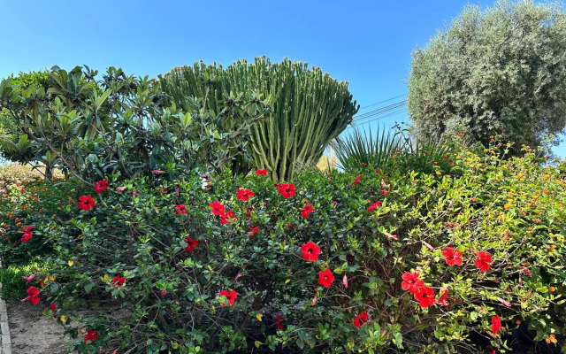 Gran Alacant Apartaments