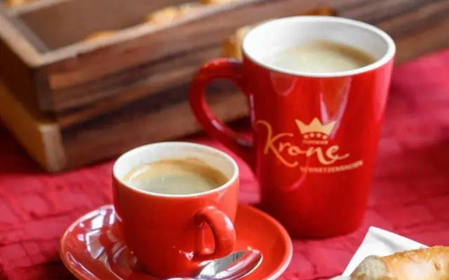 Ringhotel Krone Schnetzenhausen