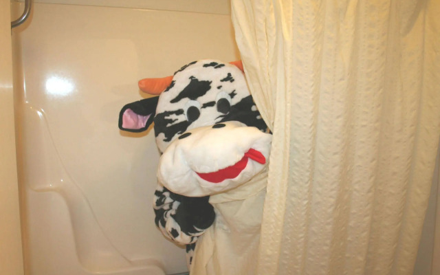 Town and Country Motel