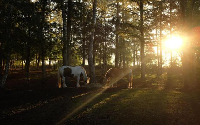 Gastenverblijf Lommerloo