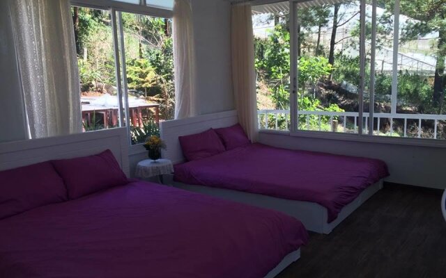 Pine Hill Homestay Dalat