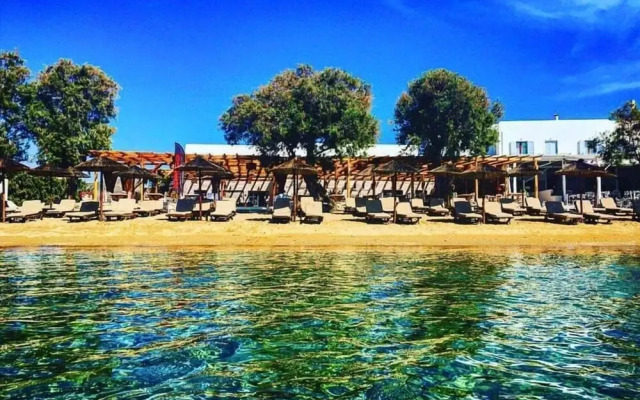 cactus beach paros