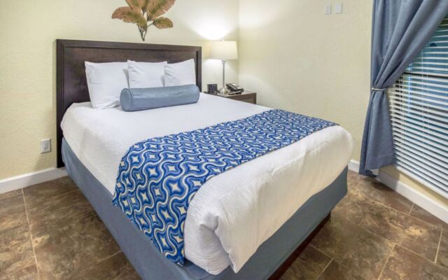 Tampa Waterfront 20530