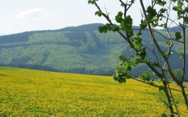 Ferienwohnungen Mettenhof