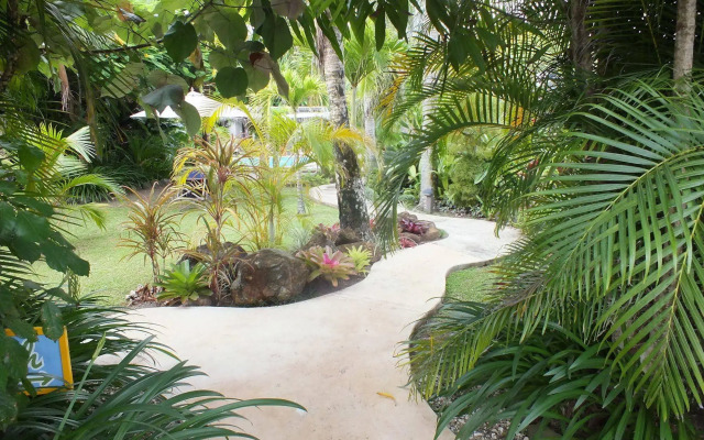 Rarotonga Daydreamer Escape