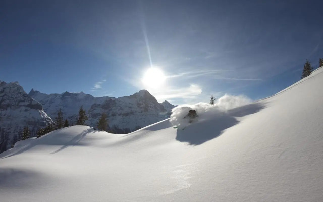 Chalet Pfyffer - Mountain view